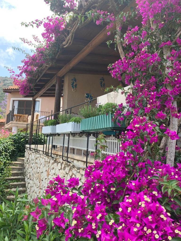 Sea View Bougainvillea 52 Kalkan Exterior foto